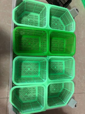 水果托盘 杨梅托盘  葡萄托盘 桑葚包装|ru