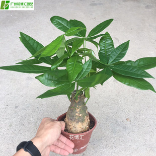 ������ֱ�������l�lؔ�����Ի����ļ�����120#�ΗU�lؔ��