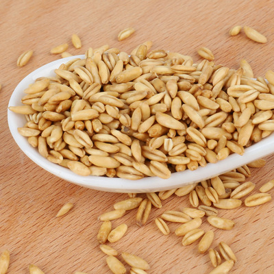 工厂批发低温烘焙熟燕麦米 熟五谷杂粮原材料粗粮袋装五谷燕麦仁|ru