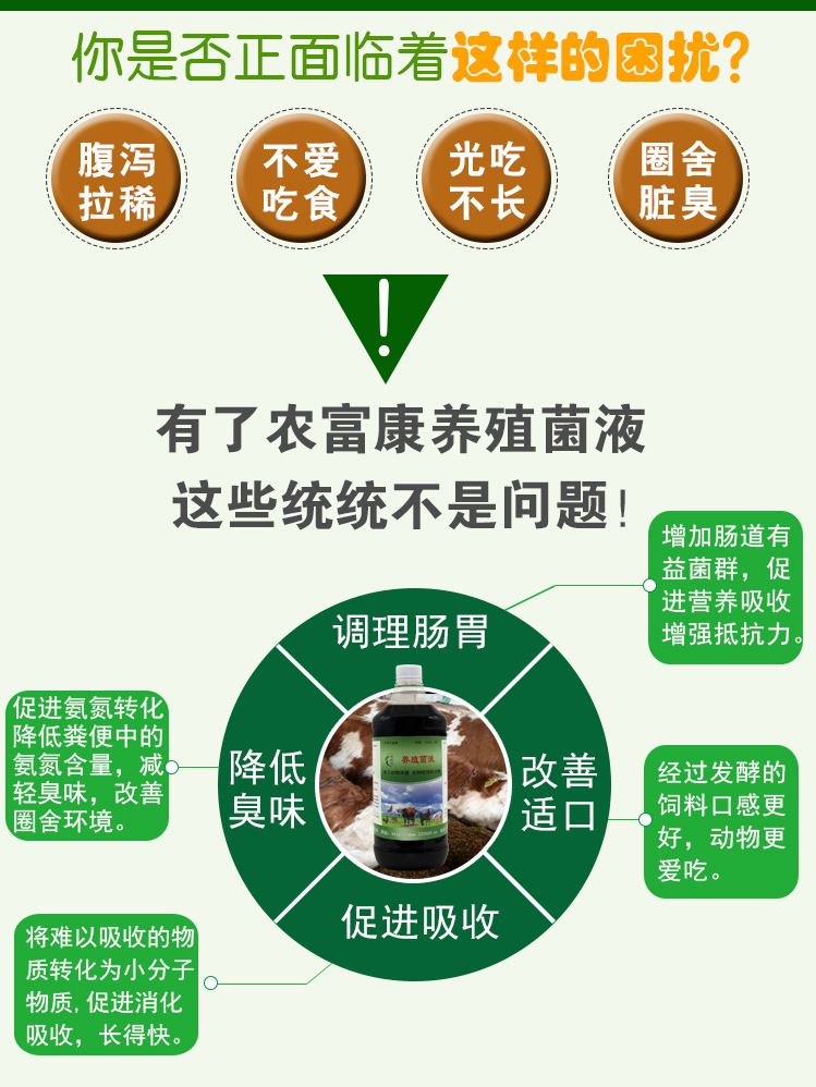  想要降低牛犊养殖成本就用养殖益生菌