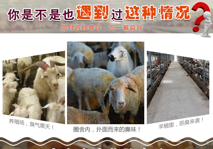  羊圈除臭味要选择对羊没有伤害的生物除臭液