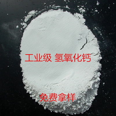 Direct selling Industrial grade Calcium hydroxide sewage Handle Slaked lime high quality White Calcium hydroxide