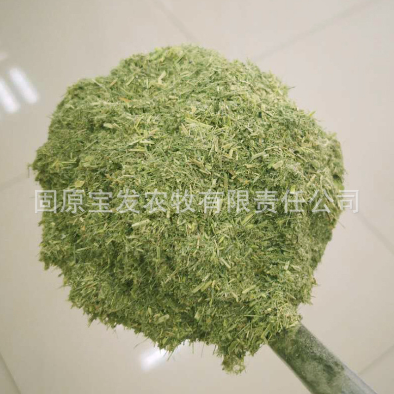 厂家货源批发紫花苜蓿草粉编制袋装猪饲料厂牧草饲草 阿里巴巴