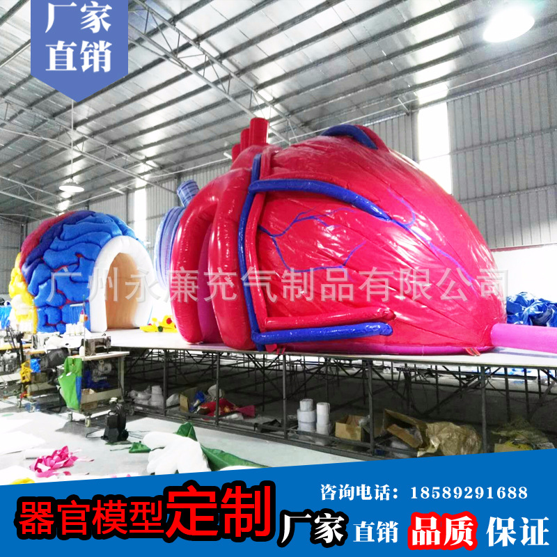 气模制品模型 充气器官模型仿真人体胆囊模型 国家医疗机构道具