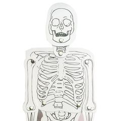 Preschool Educational Toys Children's Science Experiment Equipment Technology Small DIY Human Skeleton Model Assembly