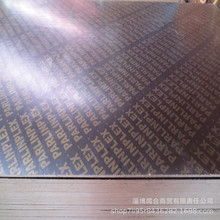 黑色覆膜胶合板15/18mm工地工程用板黑膜 字母膜建筑用模板批发