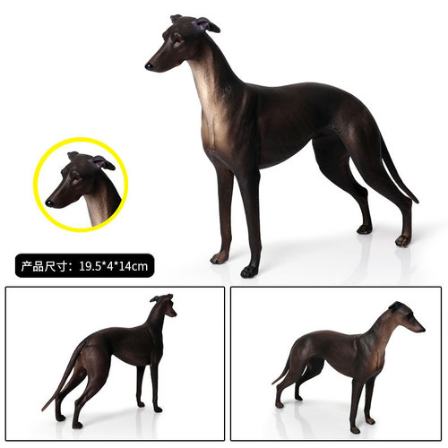 Simulated static solid wild animal dog model Greyhound Greyhound hunting dog pet dog children's toy figure