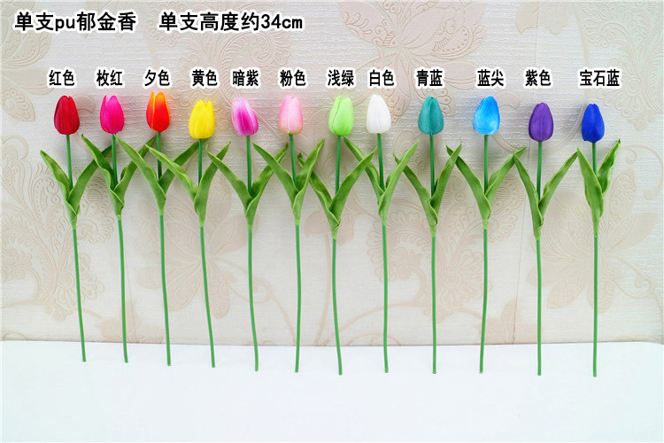 pu郁金香 单支色卡 黑体.jpg