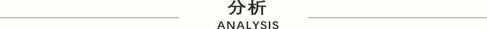 分析.jpg