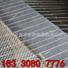 �����Ĥ�� PET������䓾� ����������ߏ����u��������҉�Ĥ��