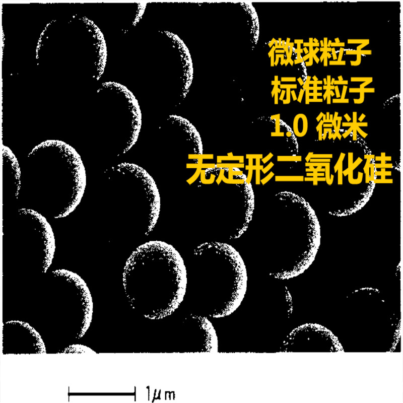 标准粒子 纳米微球  无定型二氧化硅微球 1微米
