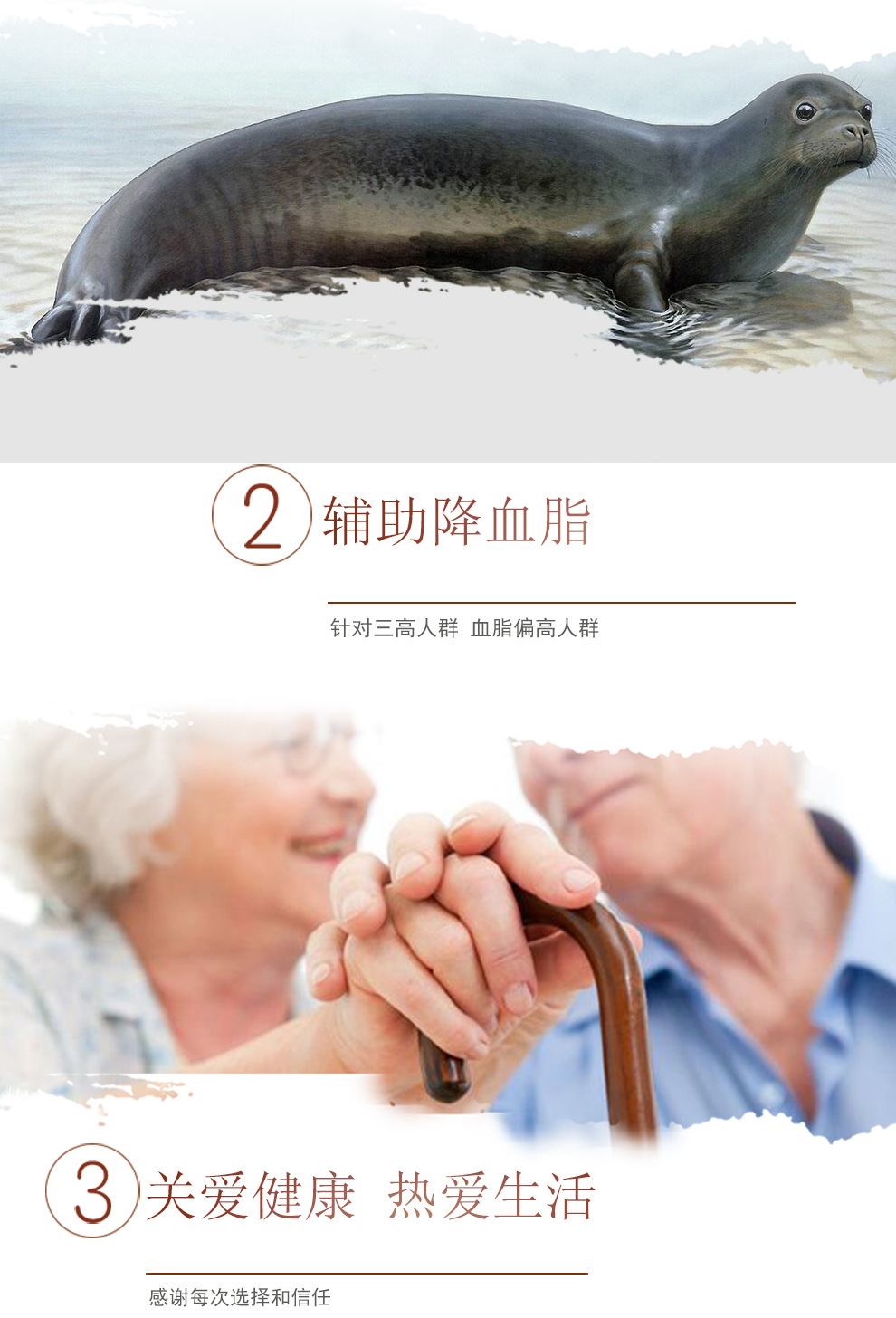 棕色保健食品描述_04