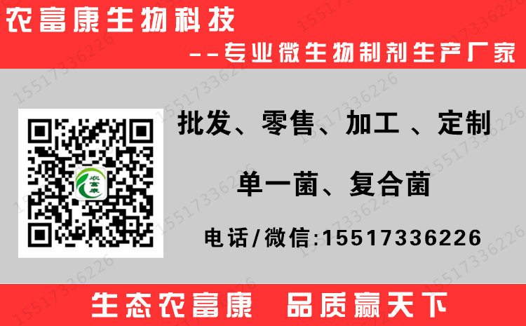 养猪发酵床菌种厂家