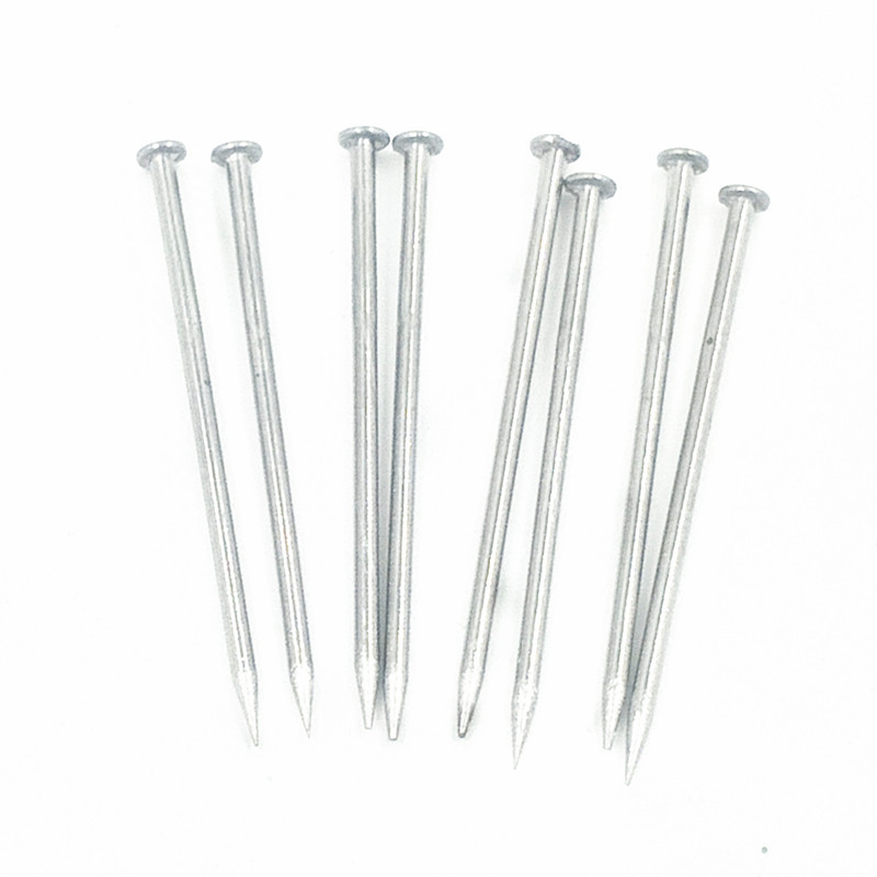 IMG20181022132702_副本