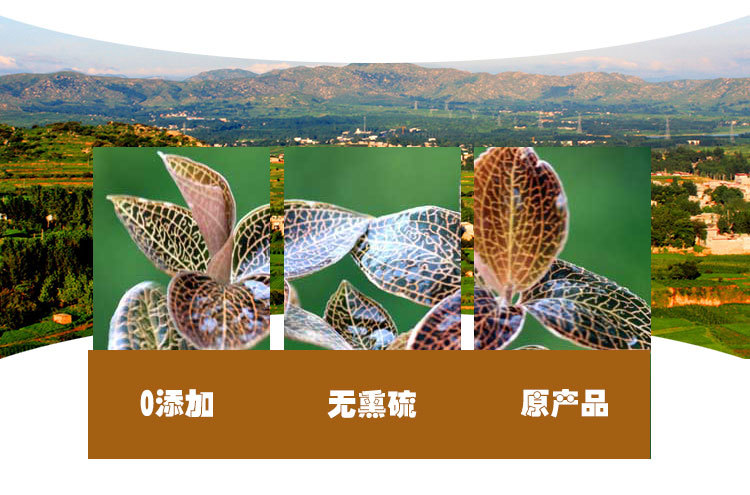 Jin Xian Lian Dried Herb (Anoectochilus roxburghii) — Fujian Origin Food Herb, 50g Box quality and texture