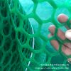厂家直销全新料PE白色绿色塑料平网塑料养鸭网
