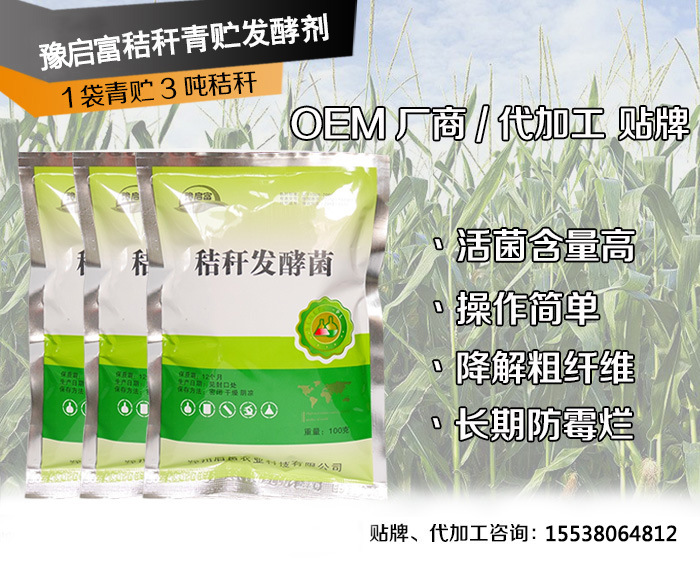 秸秆发酵菌代加工秸秆青贮用的发酵菌