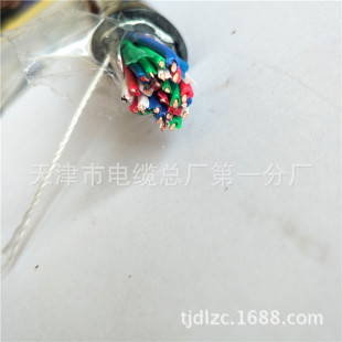 PTY22 PTYA22�F·��̖��| �|������