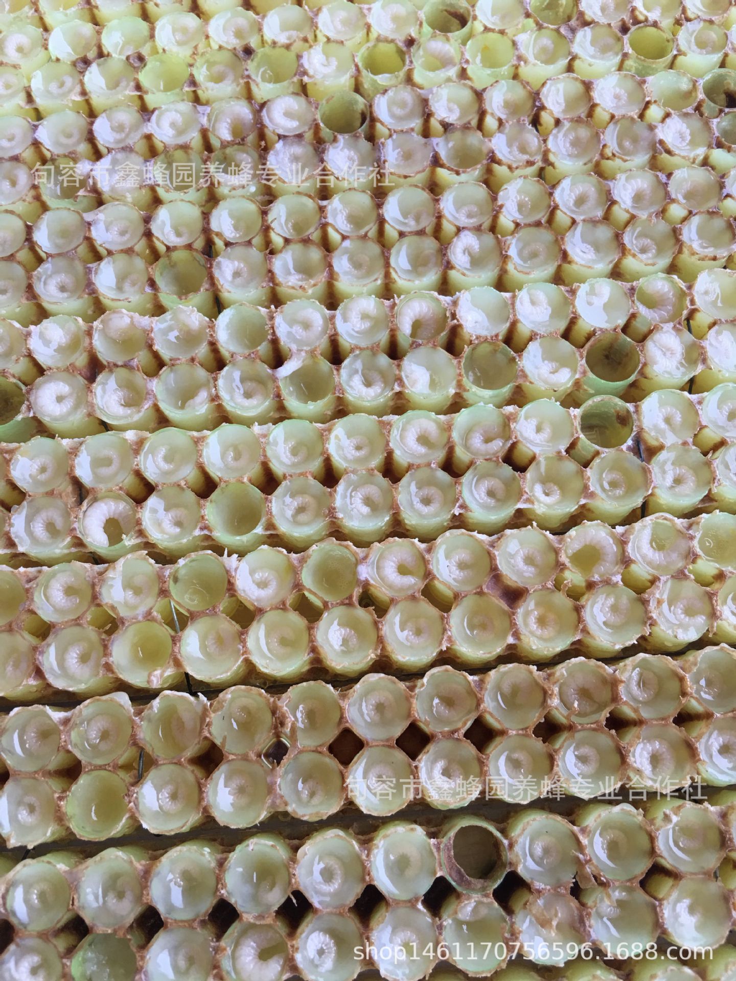 QQ图片20181125204648