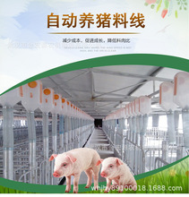 養殖養豬自動料線 飼料塔 自動喂料機 豬場料線 玻璃鋼料塔