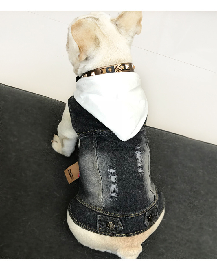 Pet Vest