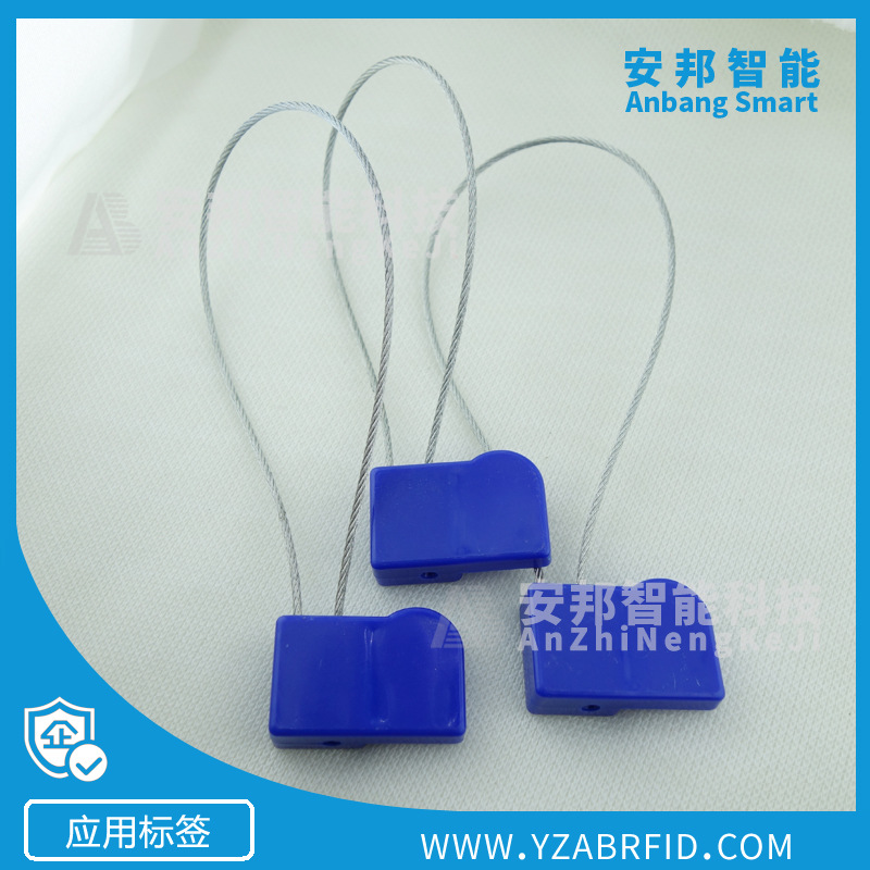 ID电子铅封，低频125KHZ表封，RFID识别钢丝封,可激光LOGO