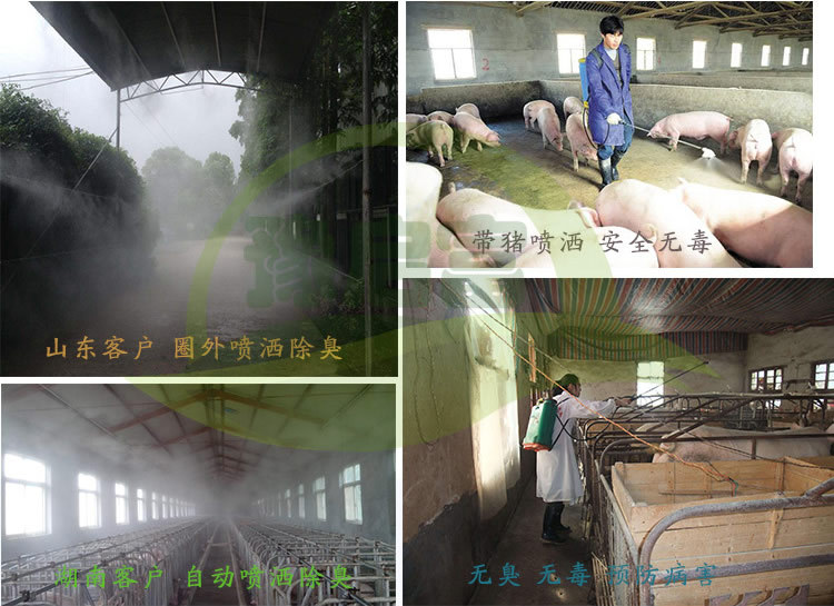 猪场除臭喷洒