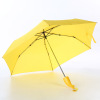 Fashionable fruit umbrella for elementary school students for princess, Birthday gift