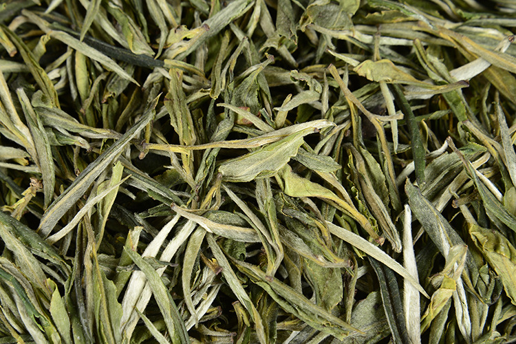 hmqViviiyNSAyin7WuaTt3JeZ8lLXpxakMBk