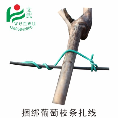 Wenwu grape Ligation Cable Ties Wire stand Ligation Kiwi Tie line Anti-bird netting Water pipe