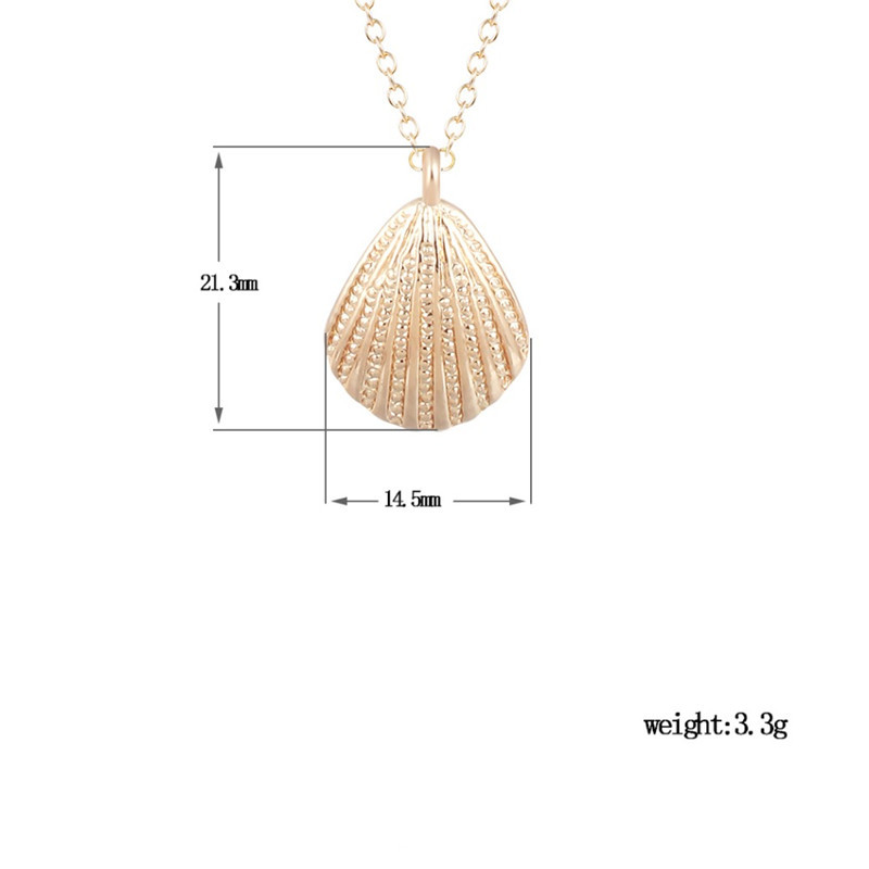 Marine Life Scallop Conch Shell Pendant Necklace Gold And Silver Female Clavicle Chain Wholesale display picture 4