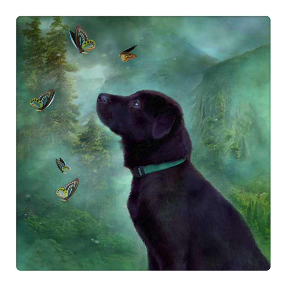 DW312  黑狗_副本 - 副本.jpg