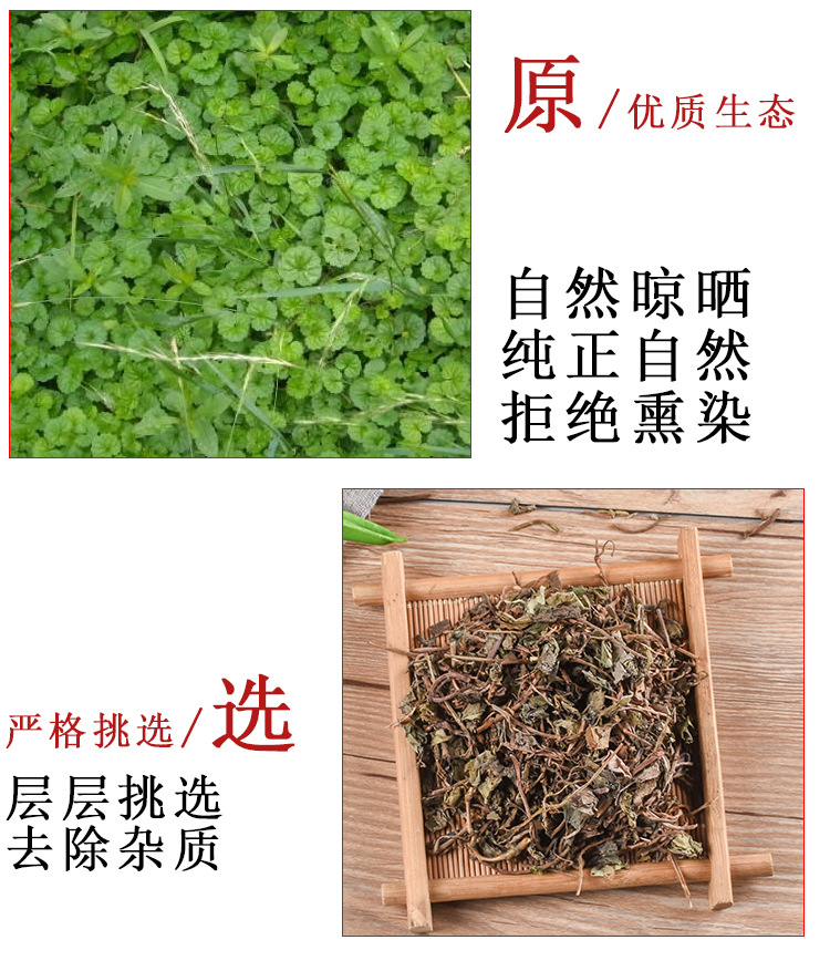 Xiao Ye Jin Qian Cao (Lysimachia christinae) — Dried Small-Leaf Jin Qian Cao Herb, 500g key features