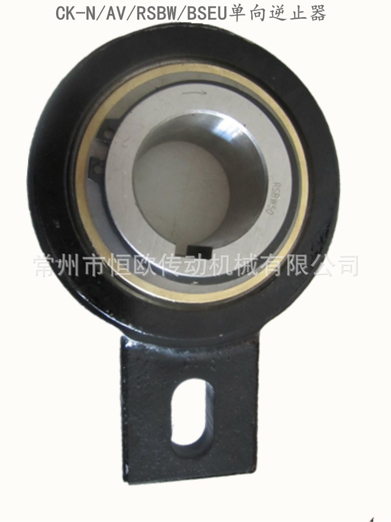 提升机送料机逆止器RSBW35M RSBW40 RSBW45 RSBW50单向超越离合器