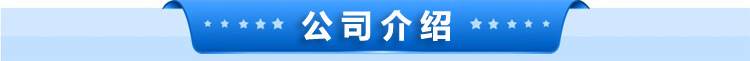 公司介绍