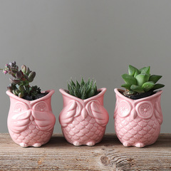 Wholesale Japanese-style miscellaneous goods owl succulent pot, gardening creative green plant ceramic pot container