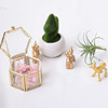 Cute creative inflatable jewelry, balloon, resin for living room, table decorations suitable for photo sessions