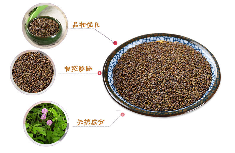 Sha Yuan Zi (Astragalus complanatus) — Shaanxi Dried Food Herb Seeds, 500g Bulk key features