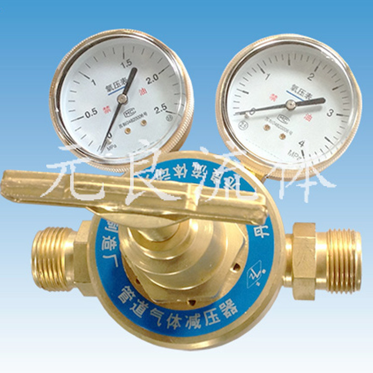 电加热二氧化碳减压器不锈钢燃气氧气减压阀YQJ终端箱减压器厂家