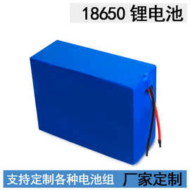 磷酸铁锂电池24V6.6A 36V48V60V10A12A15A20A锂电池