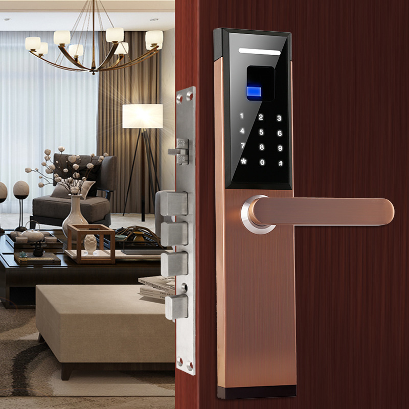 深圳智能锁指纹锁密码锁电子锁家用防盗门大门锁刷卡磁卡锁门禁锁|ms