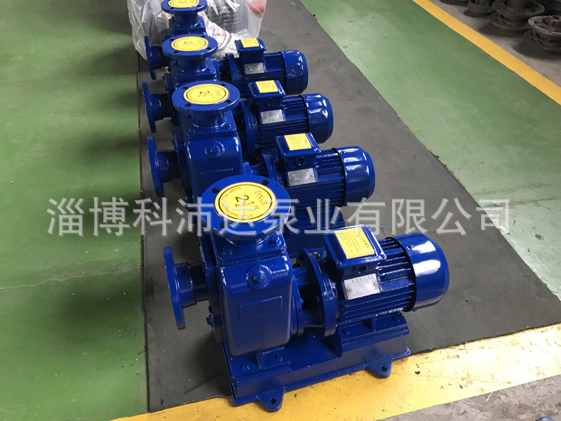 厂家供应铸铁自吸泵 多种型号电动真空泵 自吸无堵塞排污自吸泵