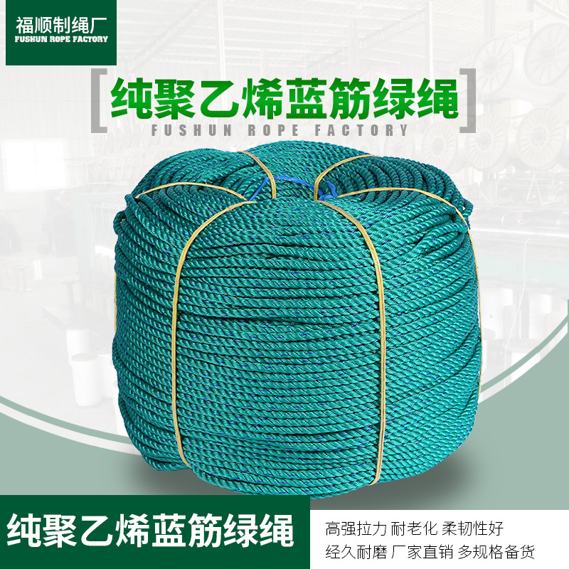 厂家批发多规格纯聚乙烯蓝筋绿绳尼龙绳子 多股编织绳 刹车绳