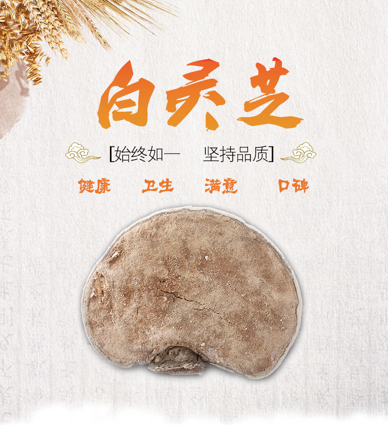 White Lingzhi (Ganoderma lucidum) — Dried Reishi Mushroom from Changbai Mountain, 500g overview