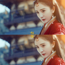 �¿��ҡ�ʺ���������ͬ������������������ݳ��ɶ�׹��������Ů