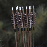 Чистого углерода настоящие перья стрела поддерживают агарвуд деревянный зерна