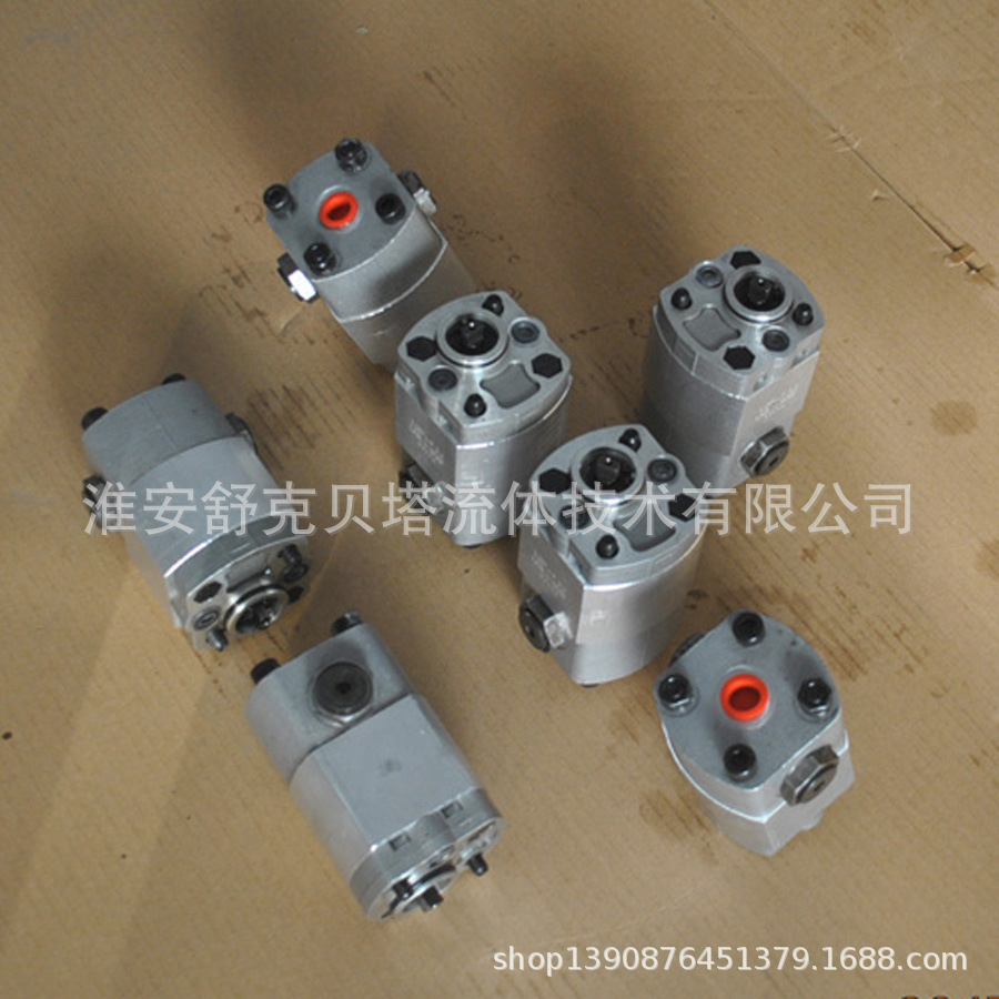 SKBT-3.2-LF液压双向齿轮泵