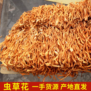 楷美產地貨源 蟲草花干貨 蛹蟲草 北蟲草 孢子頭 金蟲草 代發批發