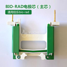 ͨ�ò���bio-rad늘Oо�Ӿ����Ĳ� �Ӿ��늘Oо ��/�� 1658037