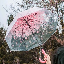 高颜值长柄自动透明雨伞女日系小清新直柄雨伞公主拱型一件批发价